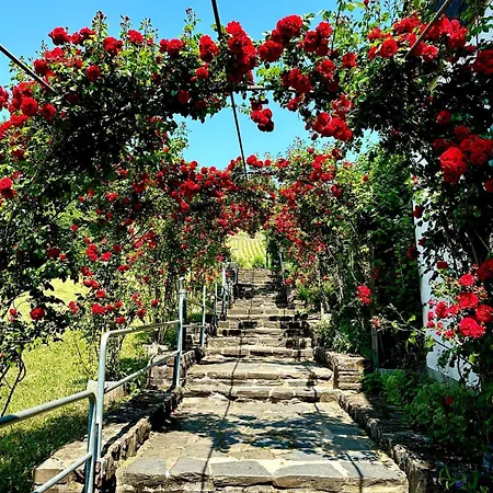 Winelicious - Arrive & Enjoy