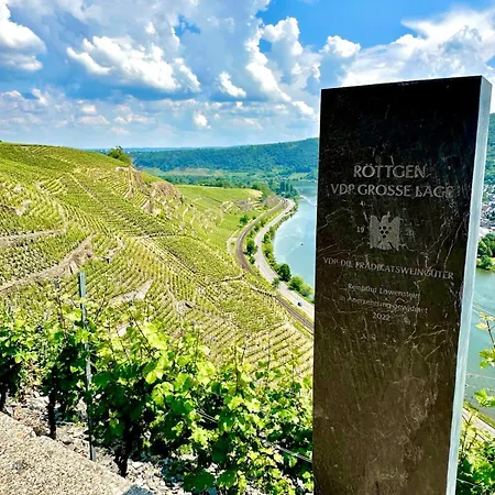 Winelicious - Arrive & Enjoy *